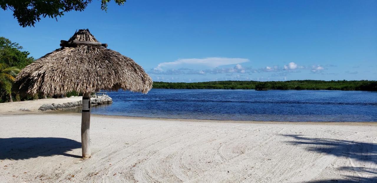 Hotel Tiny House Rv, Kayak à Key Largo Extérieur photo